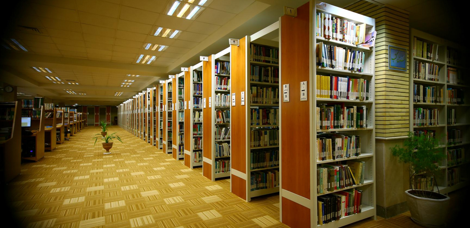 Library of RIHU