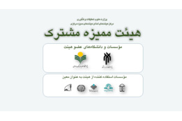 هیات ممیزه