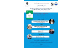تبیین نظریه مانور نظامی در واکاوی سیاست راهبردی امام حسن (ع) در گذار از جهاد به صلح؛ نقدی بر رویکردهای صلح‌طلبی منفعلانه و جهاد غافلگیرانه